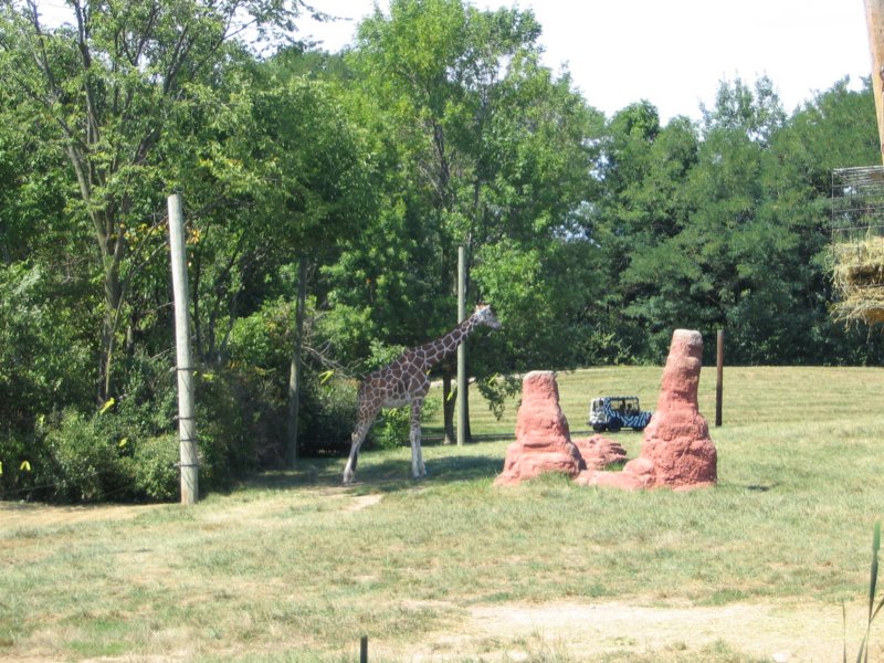 fortwaynezoo.jpg