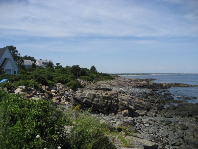 maineshoreline.jpg