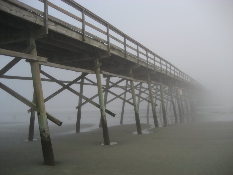 thepiertoinfinity.jpg