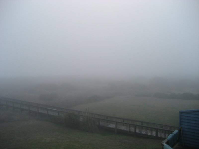 foggyday.jpg