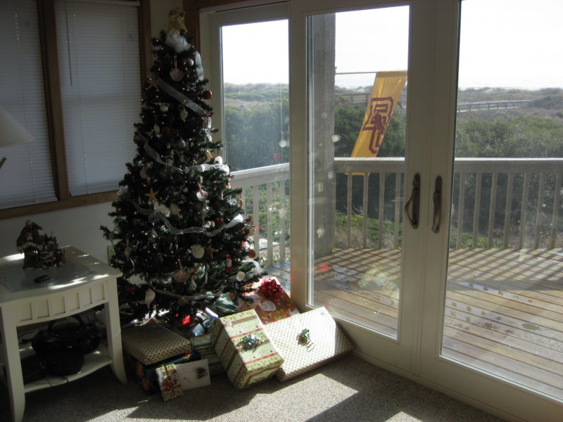 beachxmastree.jpg