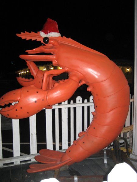 chirstmastimeatellas.jpg