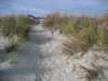 intothedunes_small.jpg