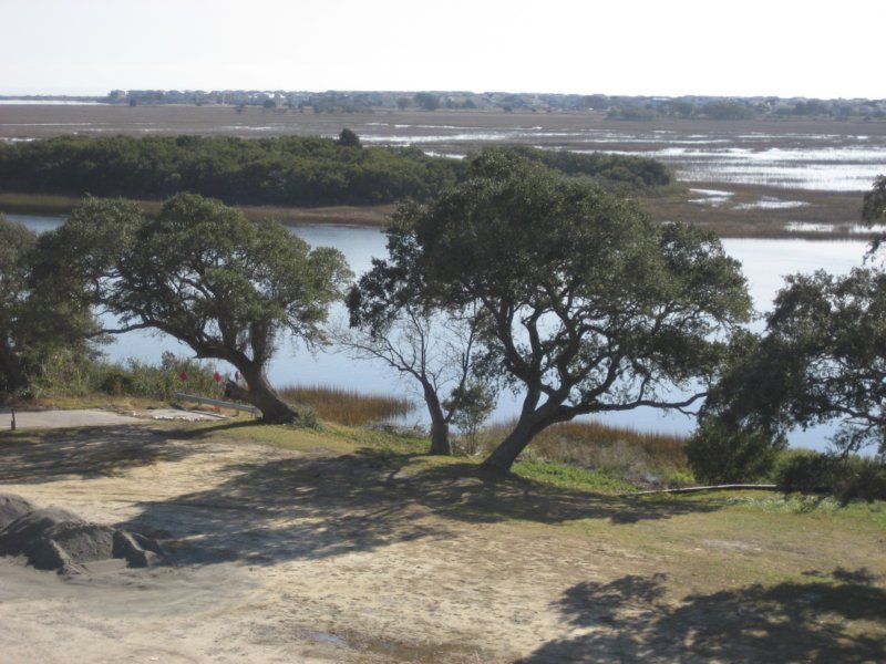 italianfishermantrees.jpg