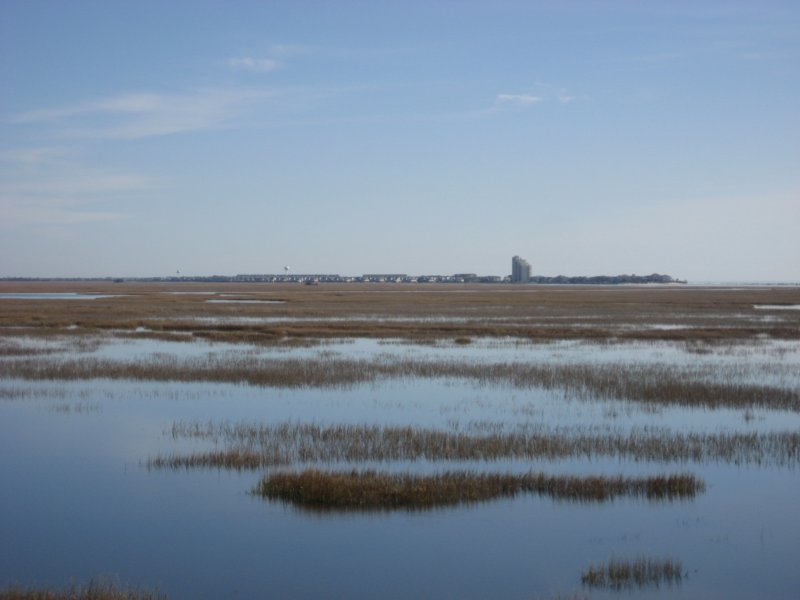 oceanisle.jpg