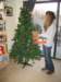 takingthetreedown_small.jpg