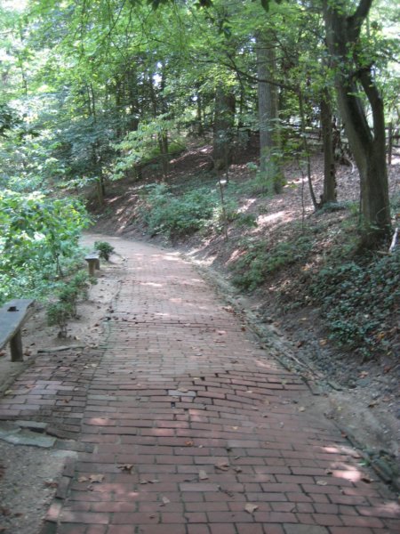 path.jpg