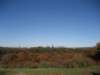 bostonskyline2_small.jpg