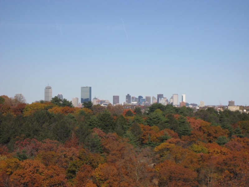 bostonskyline3.jpg