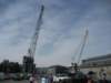 largecranes_small.jpg