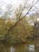 fallcolors_small.jpg
