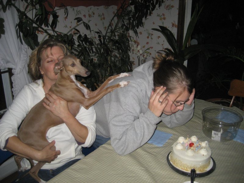 makeawish.jpg
