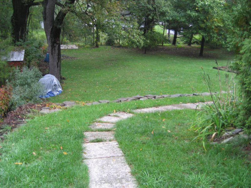 thebackyard.jpg