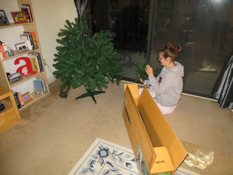 settingupthetree.jpg