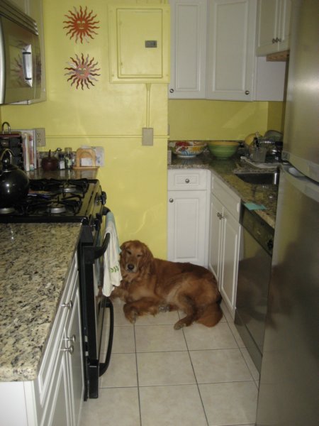 kona.jpg