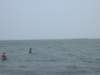 outtosea_small.jpg