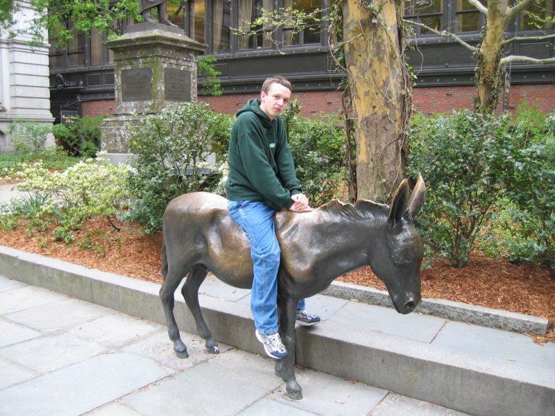 donkey.jpg