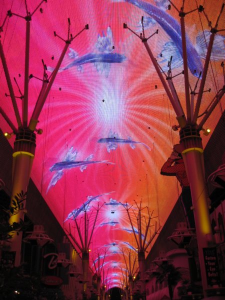 lightshow.jpg