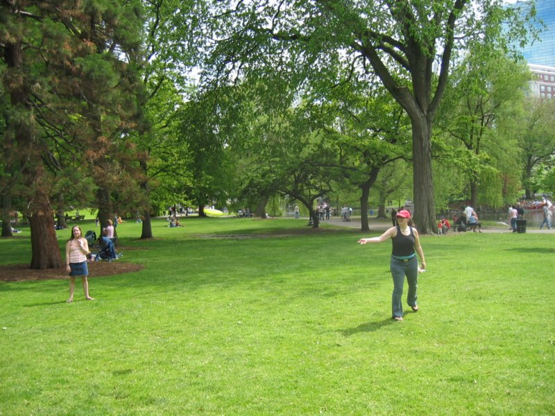frisbee.jpg