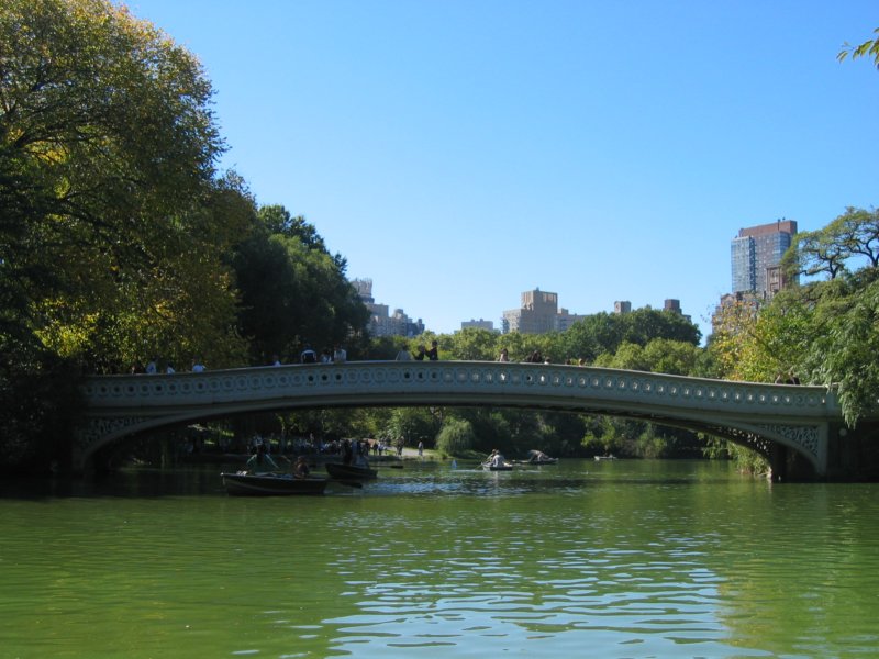 centralparkbridge.jpg