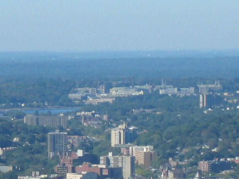 bcfromthepru.jpg