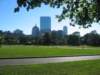 bostoncommon_small.jpg