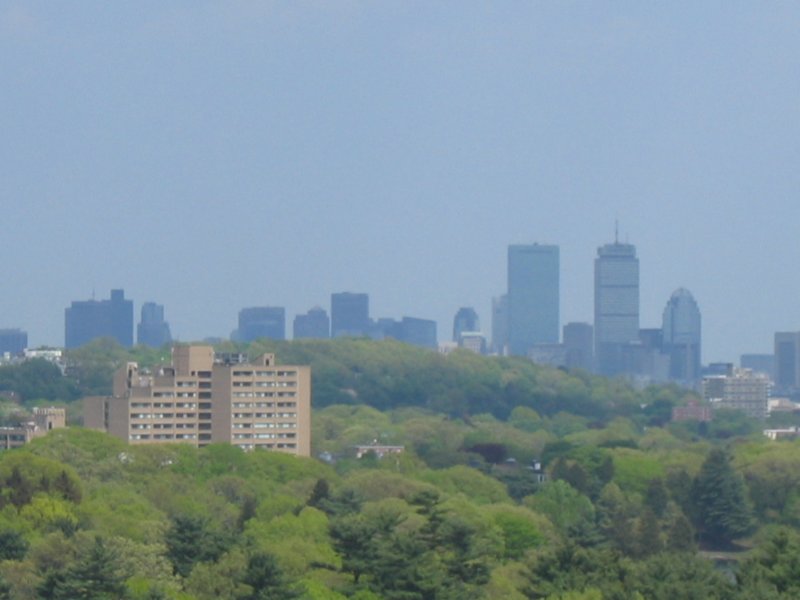 bostonzoomed.jpg