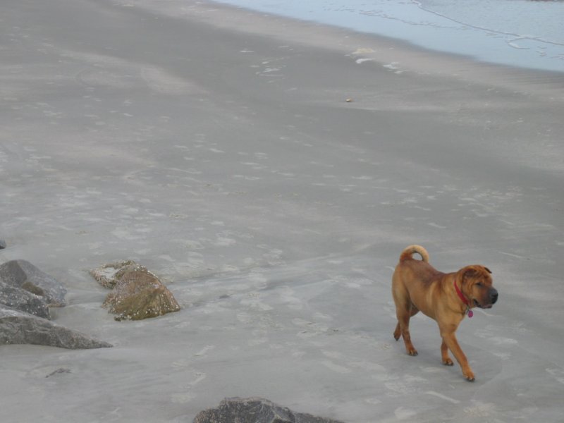 alongwalk.jpg