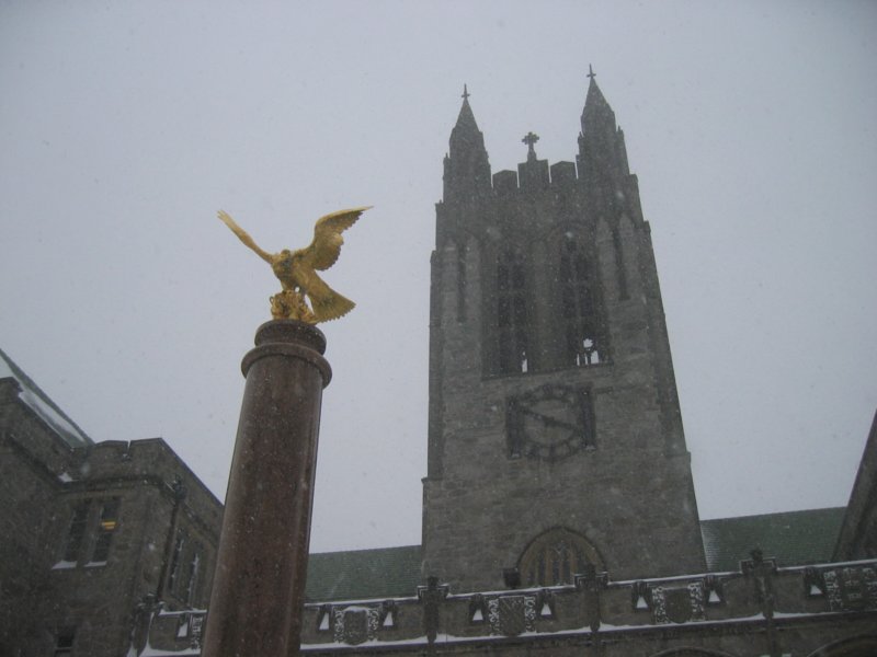 snoweagle.jpg