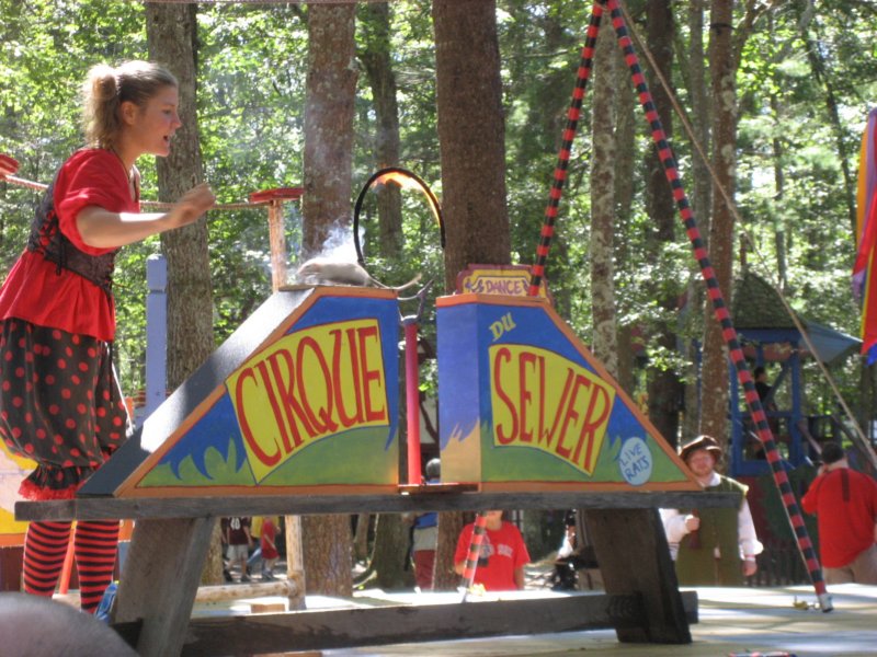 ratcircus.jpg