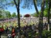 freeconcertatthehatchshell_small.jpg