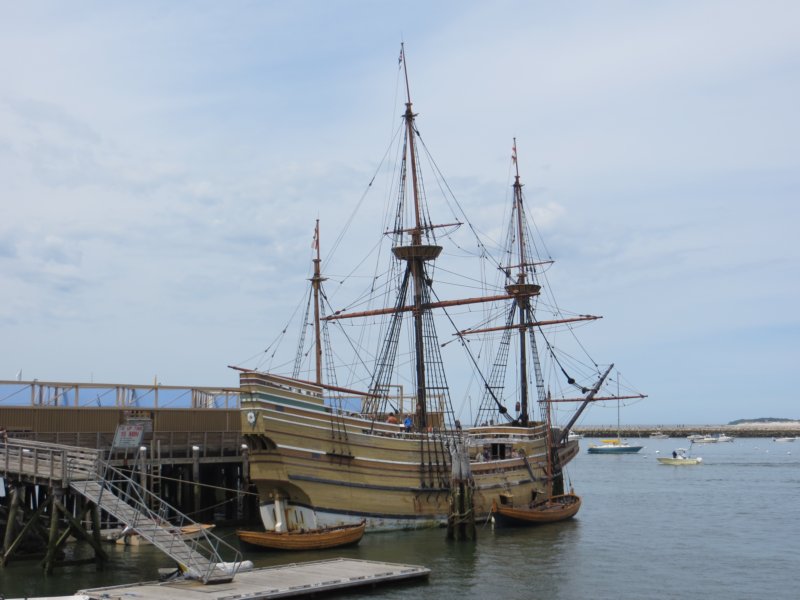 mayflowerii.jpg