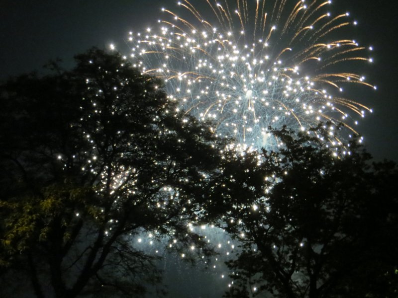 fireworksforthe4th.jpg