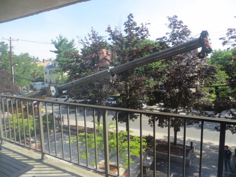 notsurewhatsgoingoninthecourtyard.jpg