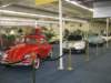 bugs_small.jpg