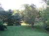 nearbypark_small.jpg