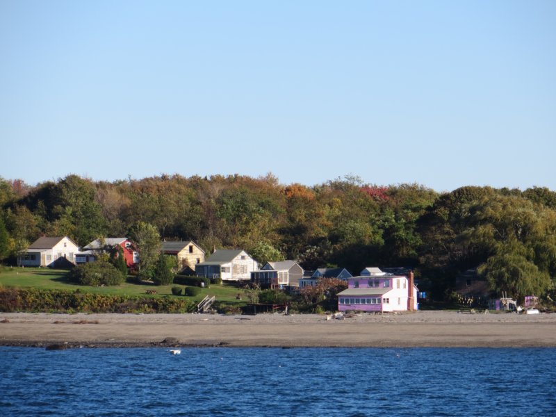 housesonpeddocksisland.jpg