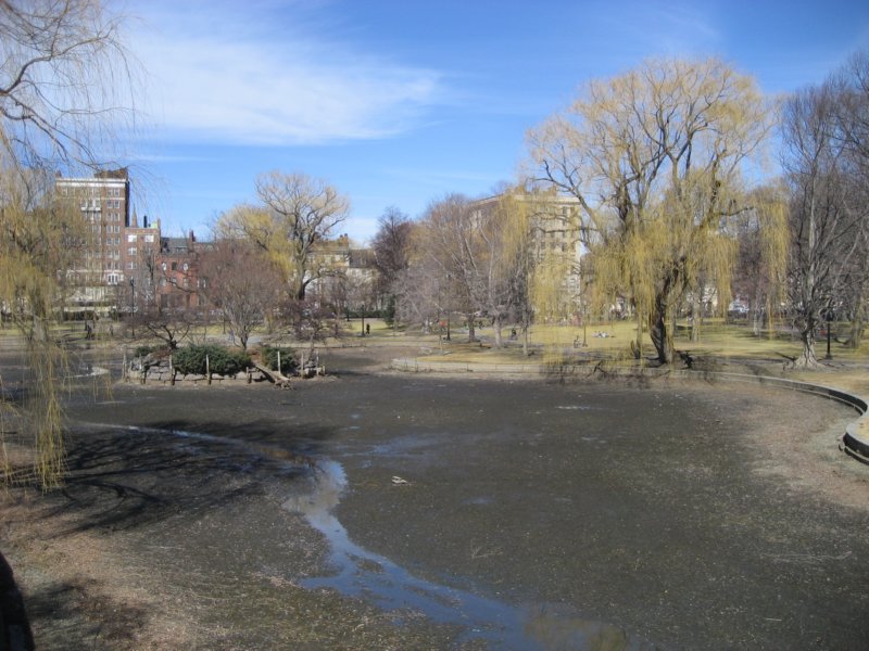 publicgarden.jpg