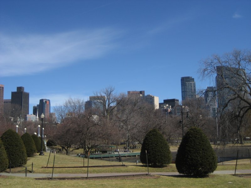 publicgarden2.jpg
