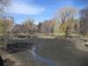 publicgarden_small.jpg