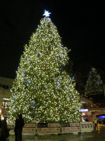 quincymarkettree.jpg