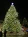 quincymarkettree_small.jpg