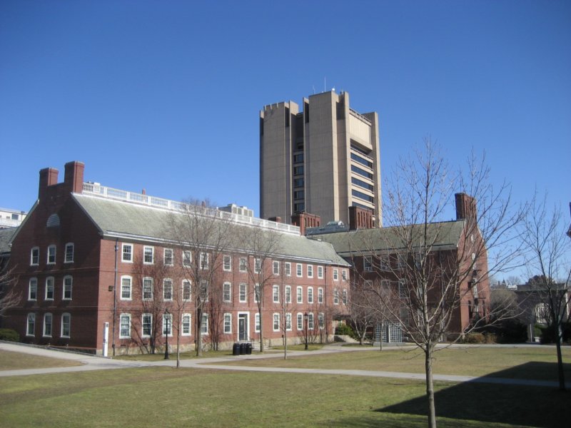 brownquad.jpg