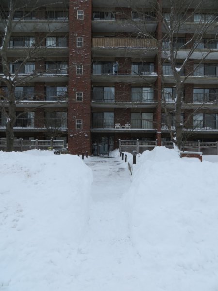 backhomethroughthesnow.jpg
