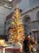 glasstree_small.jpg