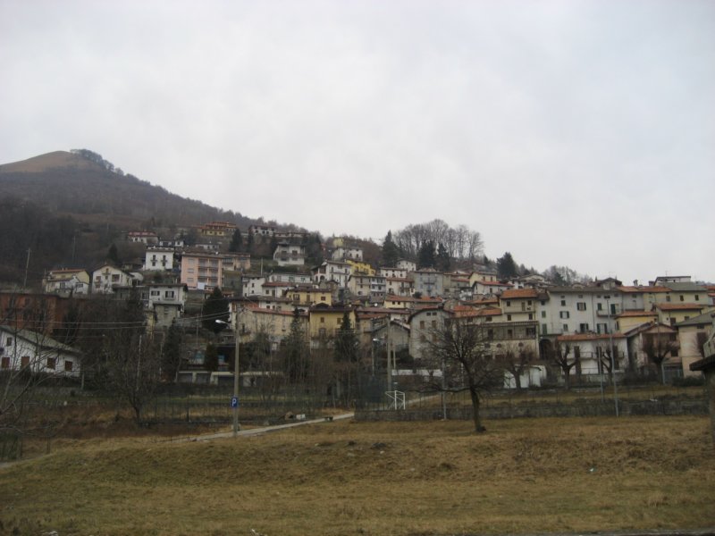 pigra.jpg