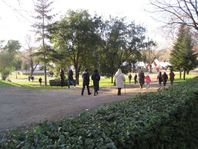 thepark.jpg
