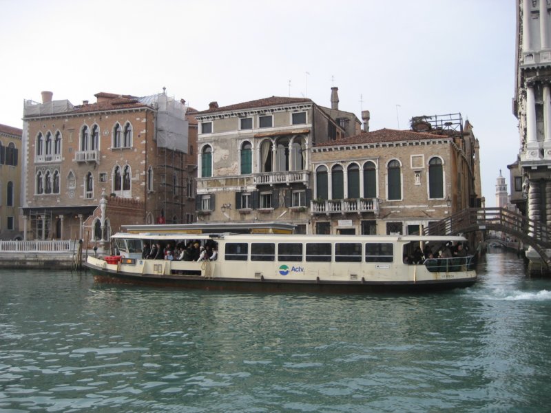 venicebus.jpg